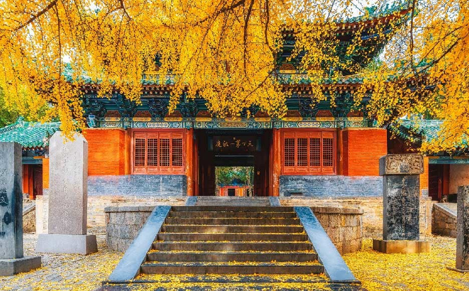 第十七届全国发光学学术会议