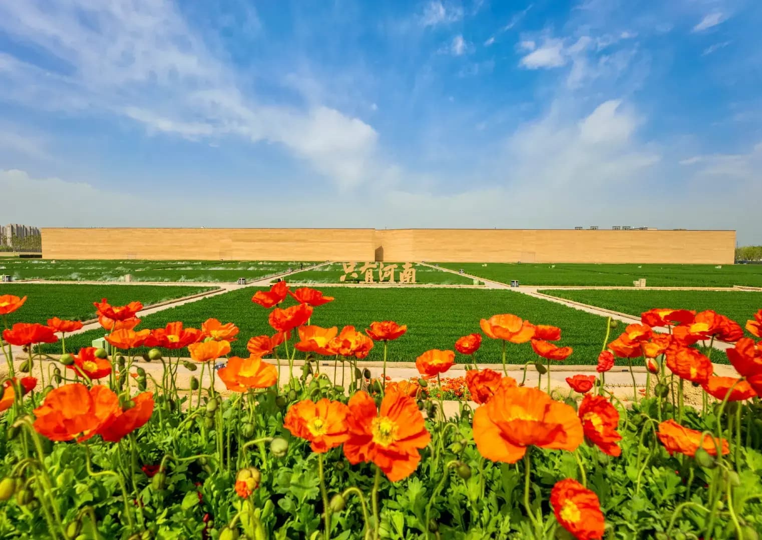 只有河南・戏剧幻城